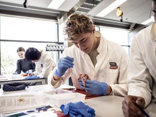 Vavo student is hart aan het ontleden