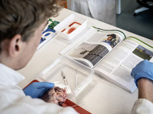 Vavo student leest lesmateriaal